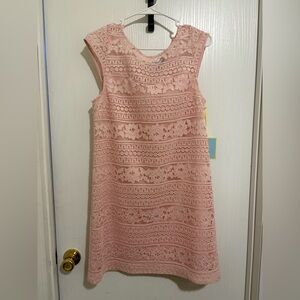 CeCe Lace Overlay Dress in Blush Pink